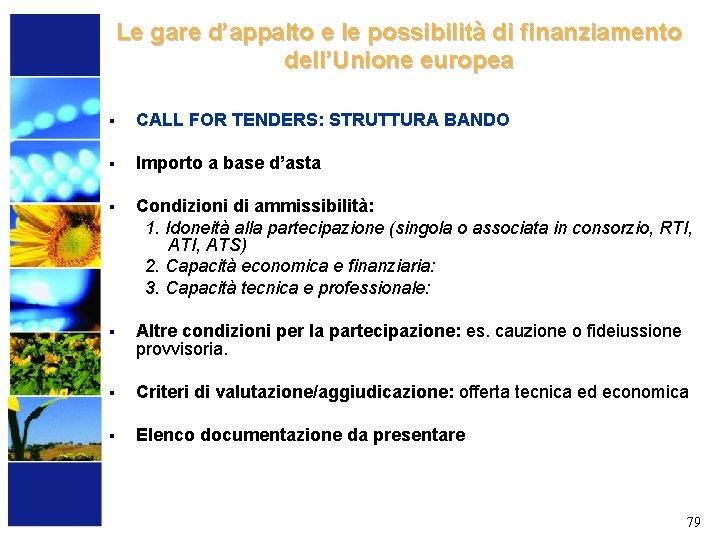 Le gare d’appalto e le possibilità di finanziamento dell’Unione europea § CALL FOR TENDERS: