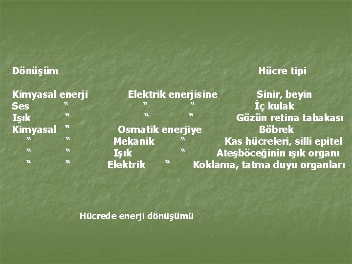 Dönüşüm Hücre tipi Kimyasal enerji Ses “ Işık “ Kimyasal “ “ “ “