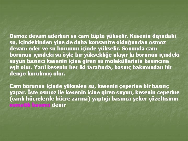 Osmoz devam ederken su cam tüpte yükselir. Kesenin dışındaki su, içindekinden yine de daha