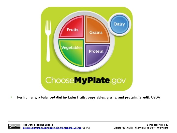  • For humans, a balanced diet includes fruits, vegetables, grains, and protein. (credit: