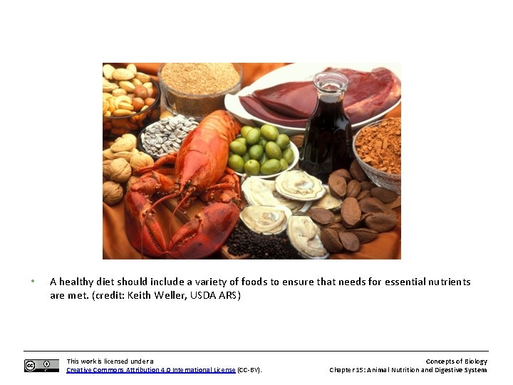 • A healthy diet should include a variety of foods to ensure that
