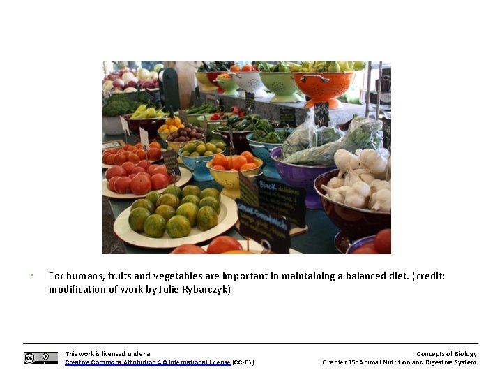  • For humans, fruits and vegetables are important in maintaining a balanced diet.