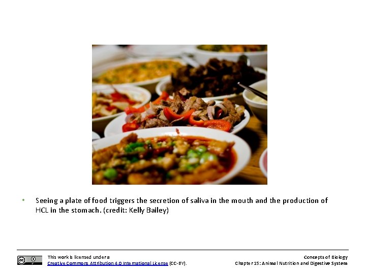  • Seeing a plate of food triggers the secretion of saliva in the