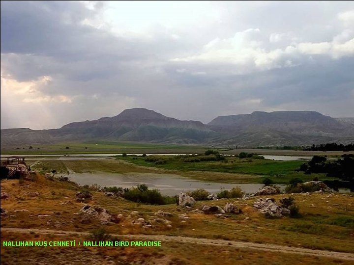 NALLIHAN KUŞ CENNETİ / NALLIHAN BIRD PARADISE 