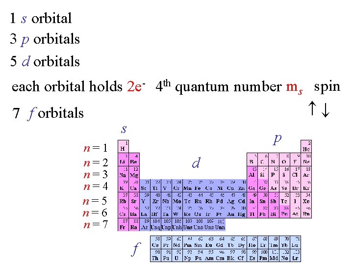 1 s orbital 3 p orbitals 5 d orbitals each orbital holds 2 e-