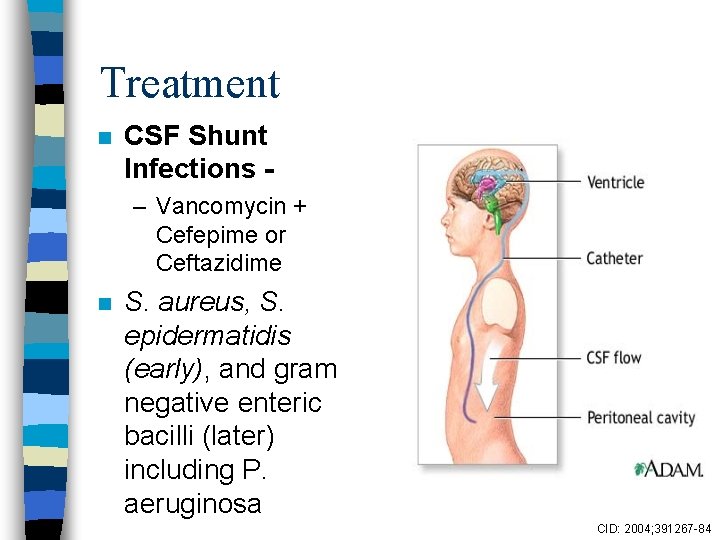 Treatment n CSF Shunt Infections – Vancomycin + Cefepime or Ceftazidime n S. aureus,