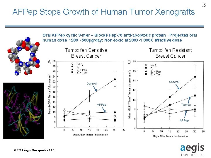 AFPep Stops Growth of Human Tumor Xenografts Oral AFPep cyclic 9 -mer – Blocks