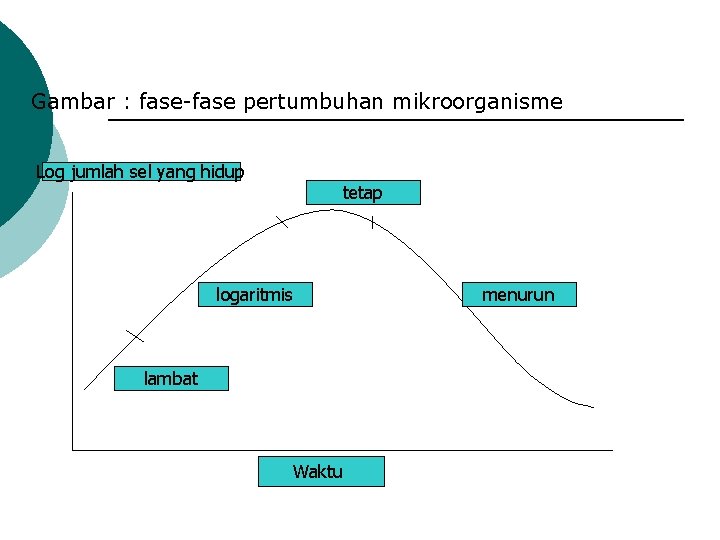 Gambar : fase-fase pertumbuhan mikroorganisme Log jumlah sel yang hidup tetap logaritmis lambat Waktu