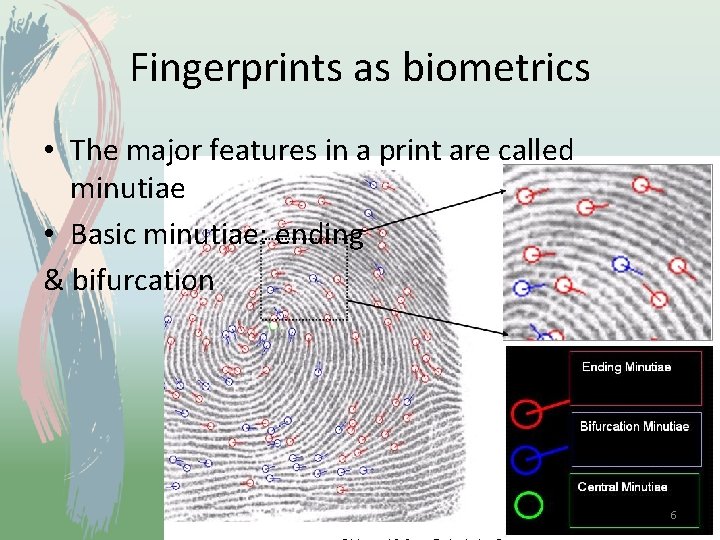 Fingerprints as biometrics • The major features in a print are called minutiae •