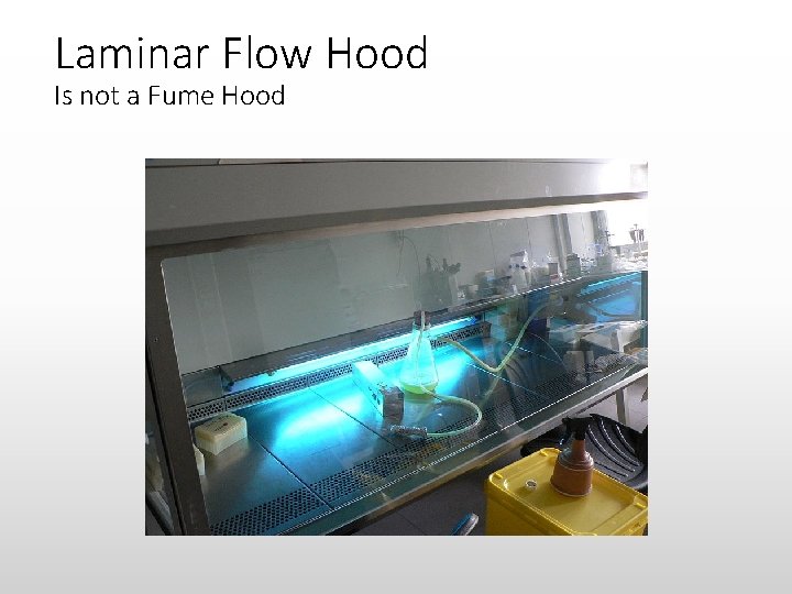 Laminar Flow Hood Is not a Fume Hood 