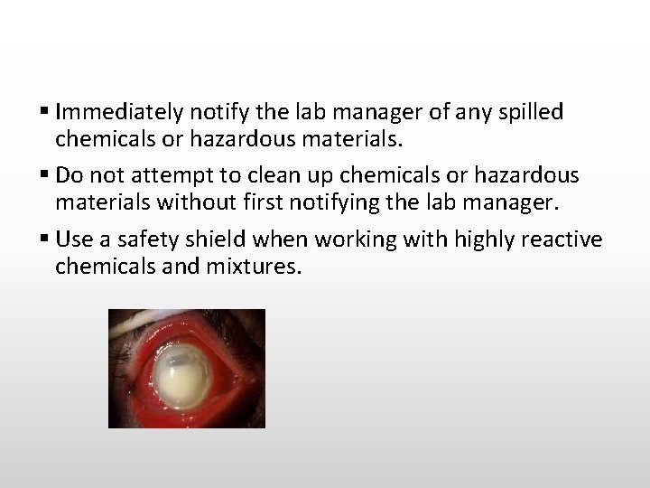 § Immediately notify the lab manager of any spilled chemicals or hazardous materials. §