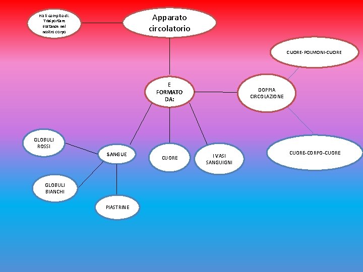 Apparato circolatorio Ha li compito di: Trasportare sostanze nel nostro corpo CUORE-POLMONI-CUORE E FORMATO