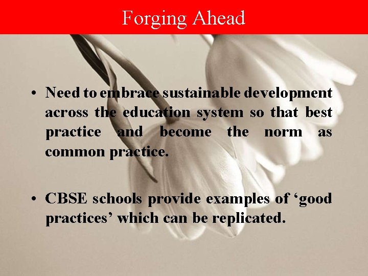 Forging Ahead • Need to embrace sustainable development across the education system so that