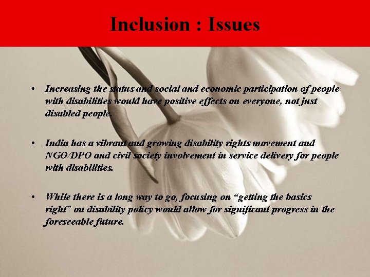 Inclusion : Issues • Increasing the status and social and economic participation of people