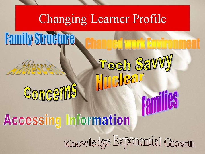 Changing Learner Profile 