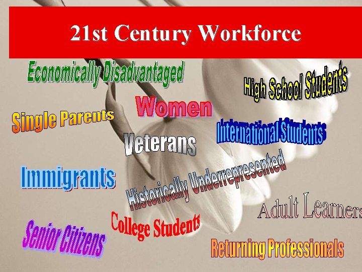 21 st Century Workforce 