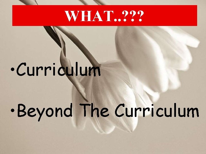 WHAT. . ? ? ? • Curriculum • Beyond The Curriculum 