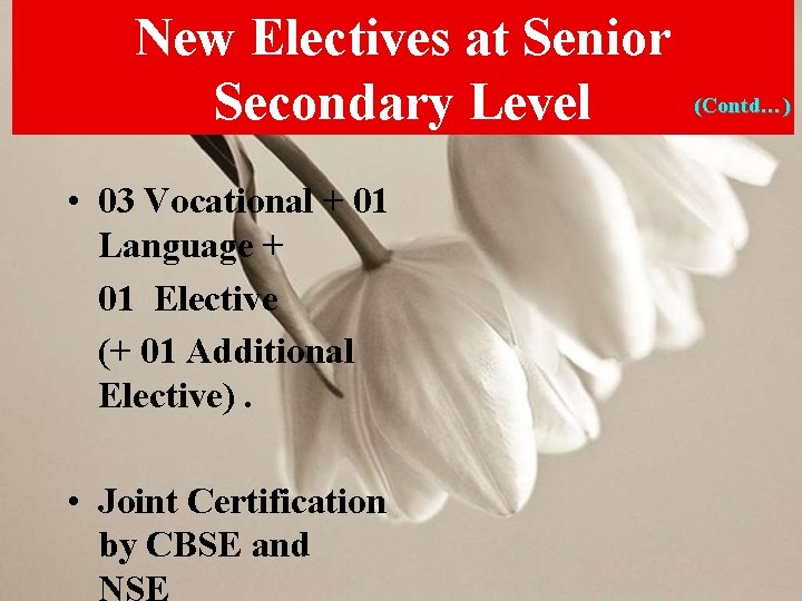 New Electives at Senior Secondary Level • 03 Vocational + 01 Language + 01