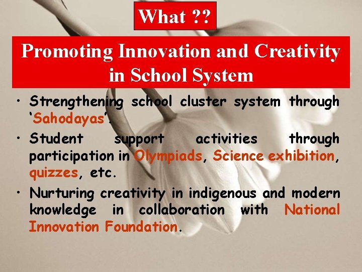 What ? ? Promoting Innovation and Creativity in School System • Strengthening school cluster
