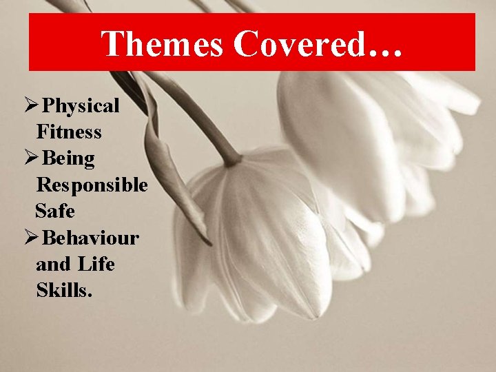Themes Covered… ØPhysical Fitness ØBeing Responsible Safe ØBehaviour and Life Skills. 