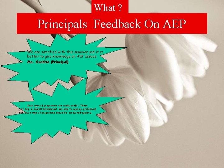 What ? Principals Feedback On AEP • • • We are satisfied with this
