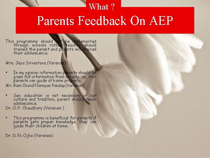 What ? Parents Feedback On AEP This programme should not be implemented through schools