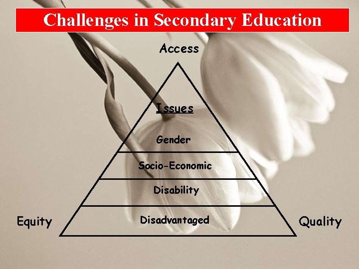 Challenges in Secondary Education Access Issues Gender Socio-Economic Disability Equity Disadvantaged Quality 