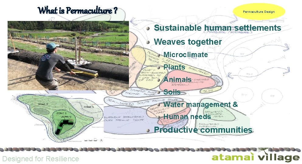What is Permaculture ? Permaculture Design Sustainable human settlements Weaves together Microclimate Plants Animals