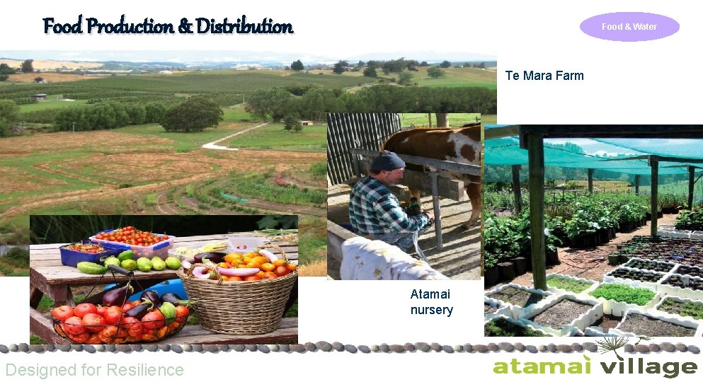 Food Production & Distribution Food & Water Te Mara Farm Atamai nursery Designed for