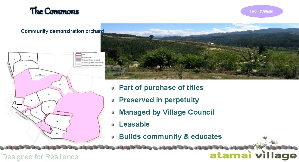 The Commons Food & Water Community demonstration orchard Part of purchase of titles Preserved