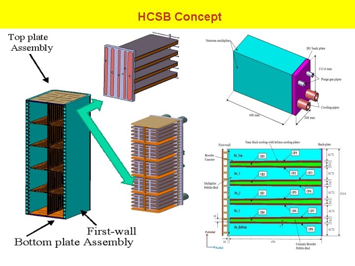 HCSB Concept 