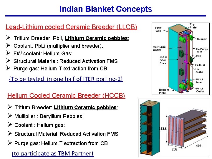 Indian Blanket Concepts Lead-Lithium cooled Ceramic Breeder (LLCB) Ø Ø Ø Tritium Breeder: Pbli,