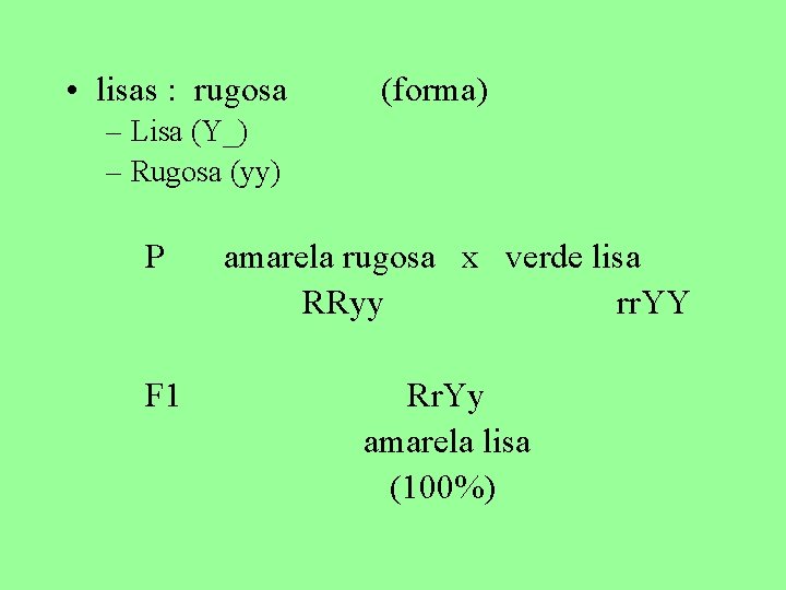  • lisas : rugosa (forma) – Lisa (Y_) – Rugosa (yy) P amarela