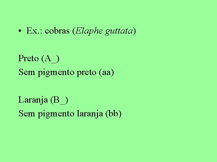  • Ex. : cobras (Elaphe guttata) Preto (A_) Sem pigmento preto (aa) Laranja