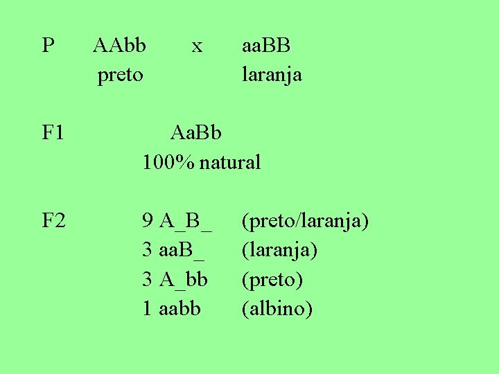 P AAbb preto x aa. BB laranja F 1 Aa. Bb 100% natural F