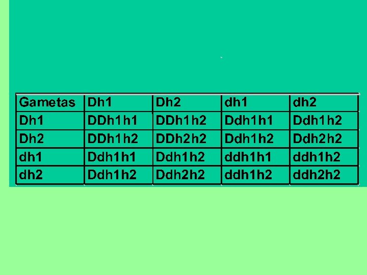 Ddh 1 h 2 x Ddh 1 h 2 