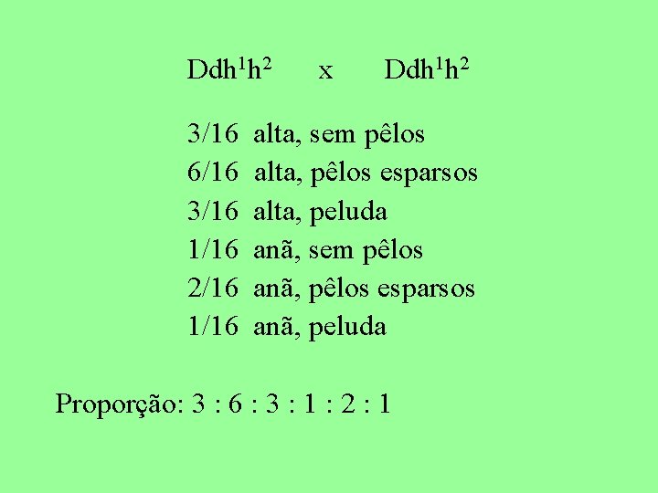 Ddh 1 h 2 3/16 6/16 3/16 1/16 2/16 1/16 x Ddh 1 h