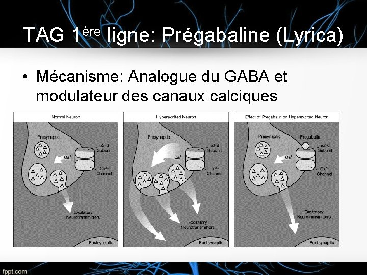 TAG 1ère ligne: Prégabaline (Lyrica) • Mécanisme: Analogue du GABA et modulateur des canaux