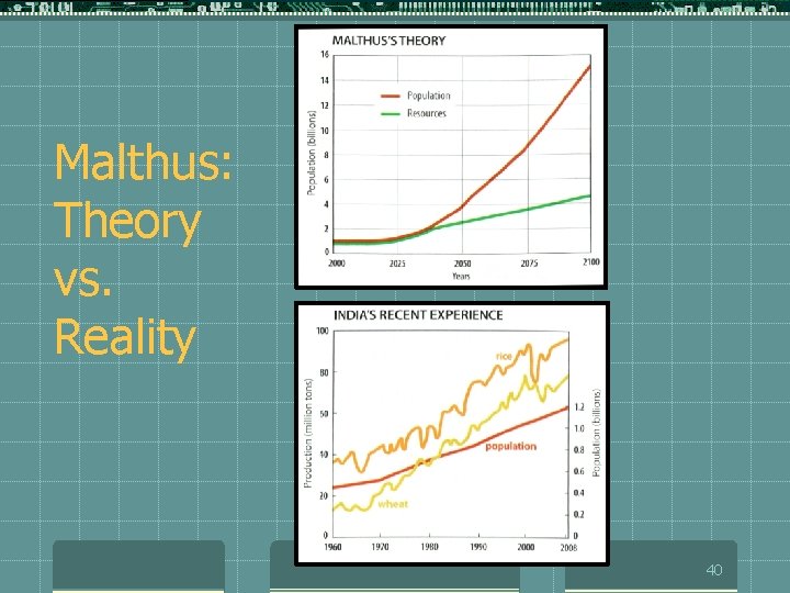 Malthus: Theory vs. Reality 40 