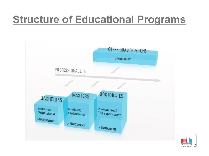 Structure of Educational Programs 14 