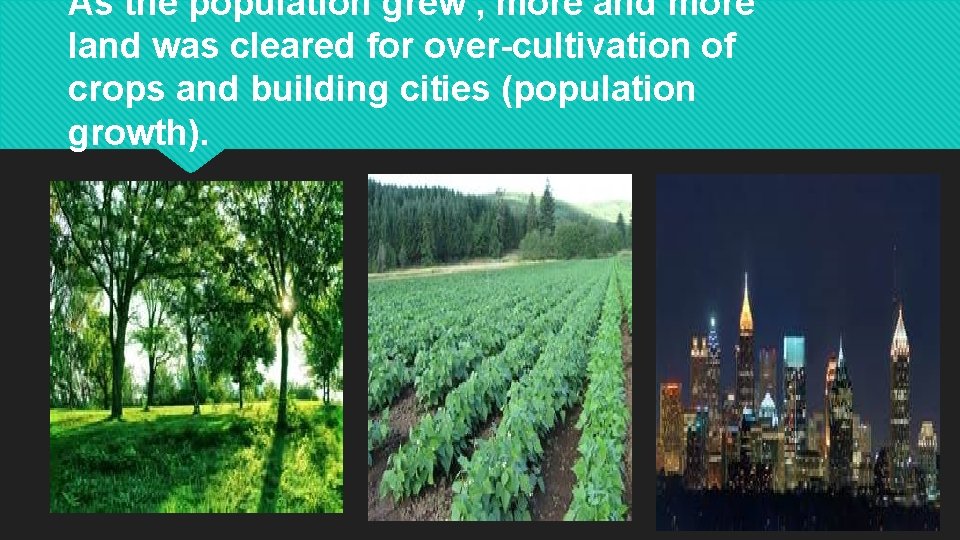 As the population grew , more and more land was cleared for over-cultivation of