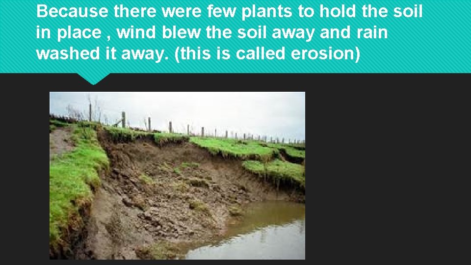 Because there were few plants to hold the soil in place , wind blew