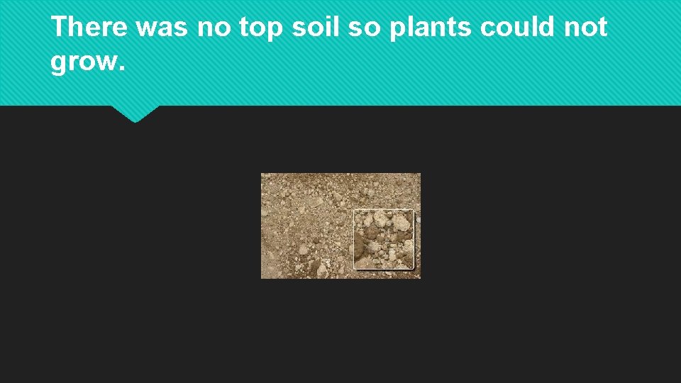 There was no top soil so plants could not grow. 