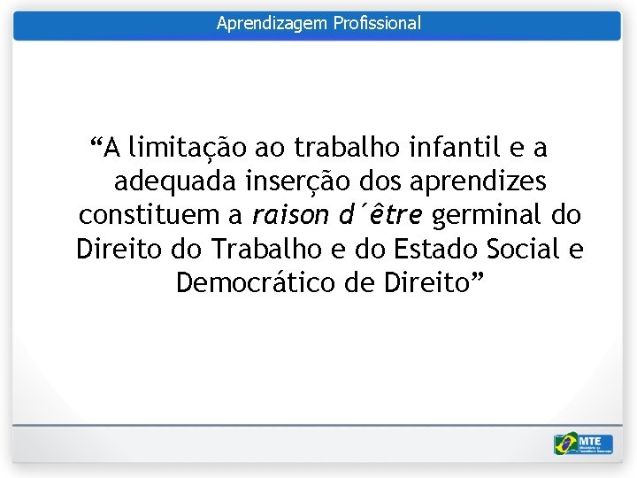 Aprendizagem Profissional “A limitação ao trabalho infantil e a adequada inserção dos aprendizes constituem