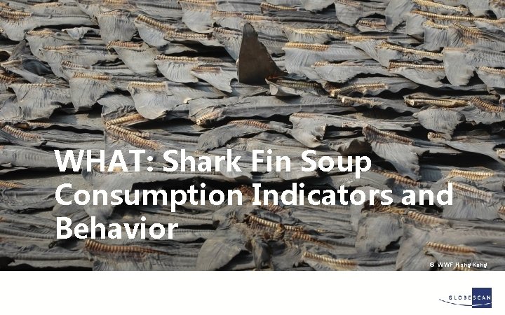 WHAT: Shark Fin Soup Consumption Indicators and Behavior © WWF Hong Kong 
