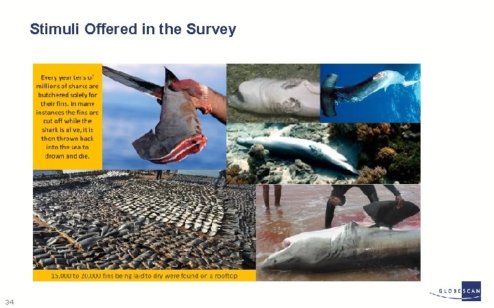 Stimuli Offered in the Survey 34 