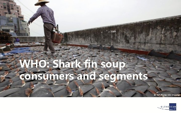 WHO: Shark fin soup consumers and segments © AP Photo/ Kin Cheung 