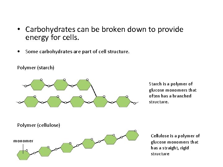  • Carbohydrates can be broken down to provide energy for cells. • Some