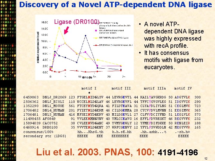 Discovery of a Novel ATP-dependent DNA ligase Ligase (DR 0100) • A novel ATPdependent