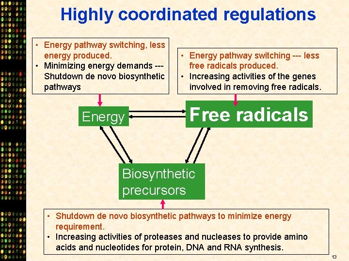 Highly coordinated regulations • Energy pathway switching, less energy produced. • Minimizing energy demands